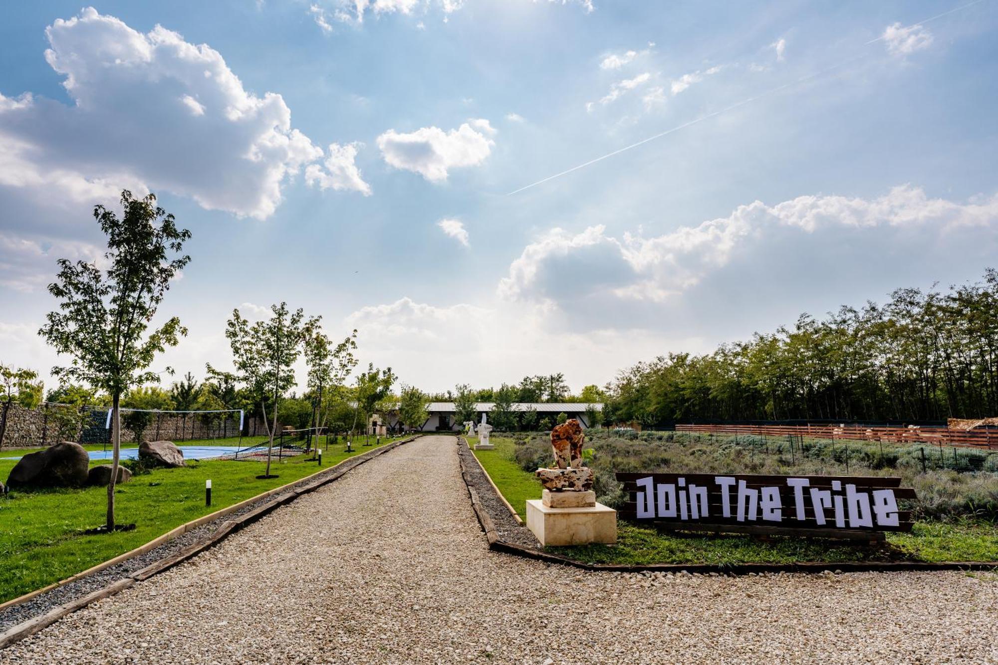 Hotel The Tribe Alpaca Retreat Branesti Exterior foto