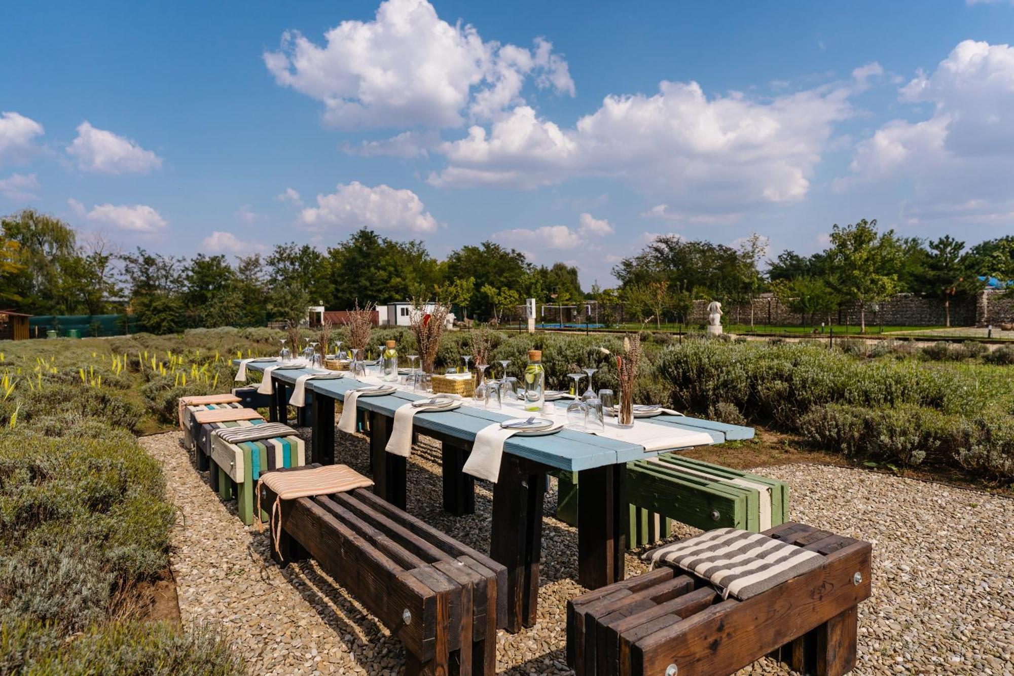 Hotel The Tribe Alpaca Retreat Branesti Exterior foto